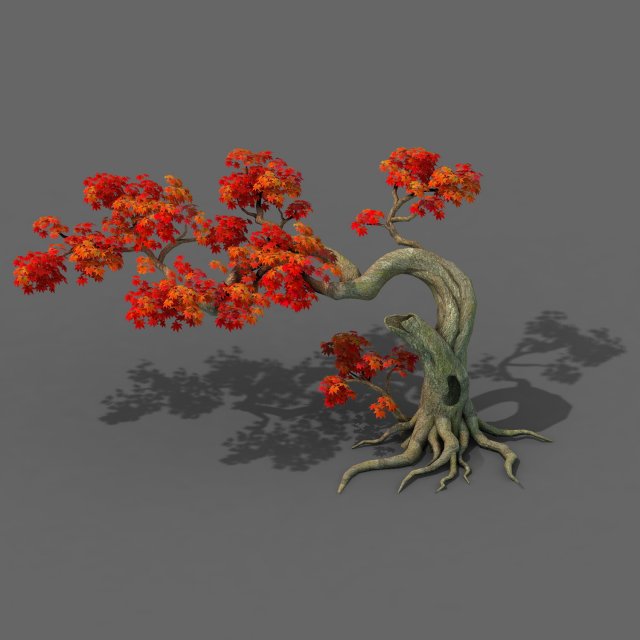 Forest – Maple Tree 11 3D Model