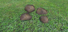 Small Ground Rock Pack 2 3D Model