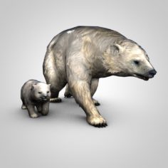 Polar bears (Animated, Rigged) 3D Model