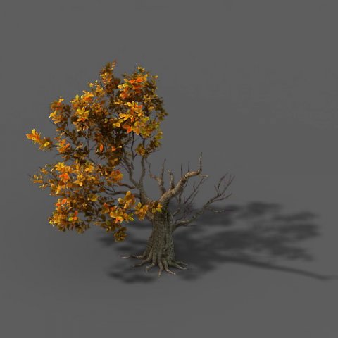 Forest – Trees 13 3D Model