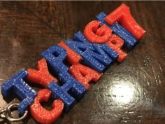 Two Color Typing Champ Keychain 3D Print Model