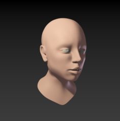 Womans face 3D Model