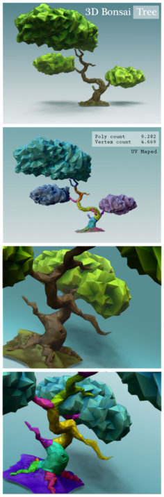 Bonsai Tree
           3D Model