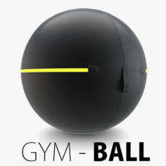 Technogym – Ball 3D Model