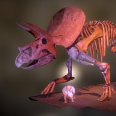 Triceratops						 Free 3D Model