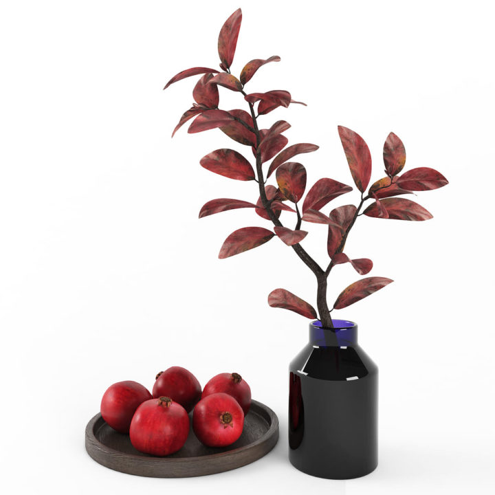 3D Decorative set with pomegranates 3D Model