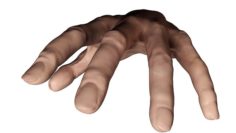 Skin Hand 3D 3D Model