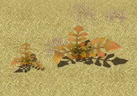 Cartoon version – wasteland vegetation 3D Model