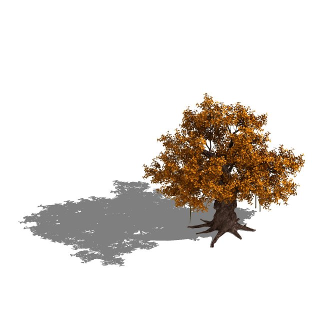 Plant – yellow tree 3D Model