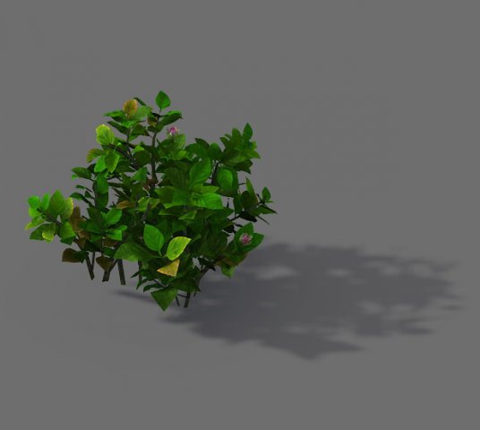 Game Models – Forest – Shrubs 12 3D Model