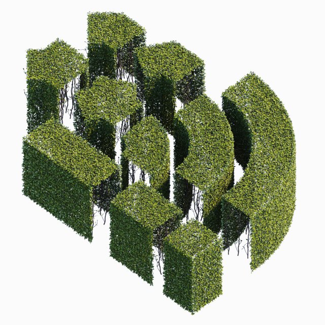 Hedge 400x800h 3D 3D Model