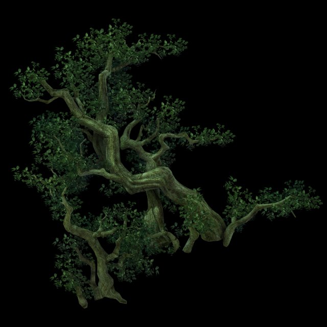 Game Model – Forest – Tree 04 3D Model