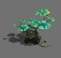 Exotic – flower 3 3D Model