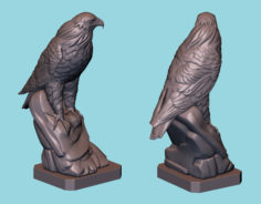 Hawk 3D Model