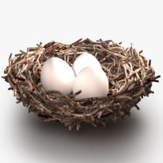 Bird Nest 3D Model