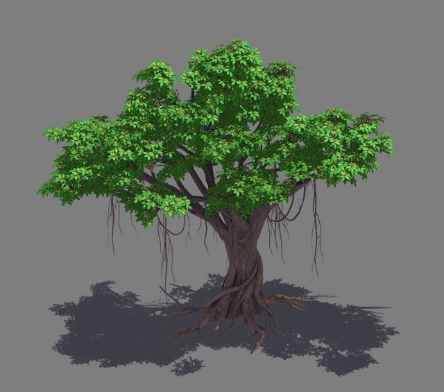 Plant – banyan tree 14 3D Model