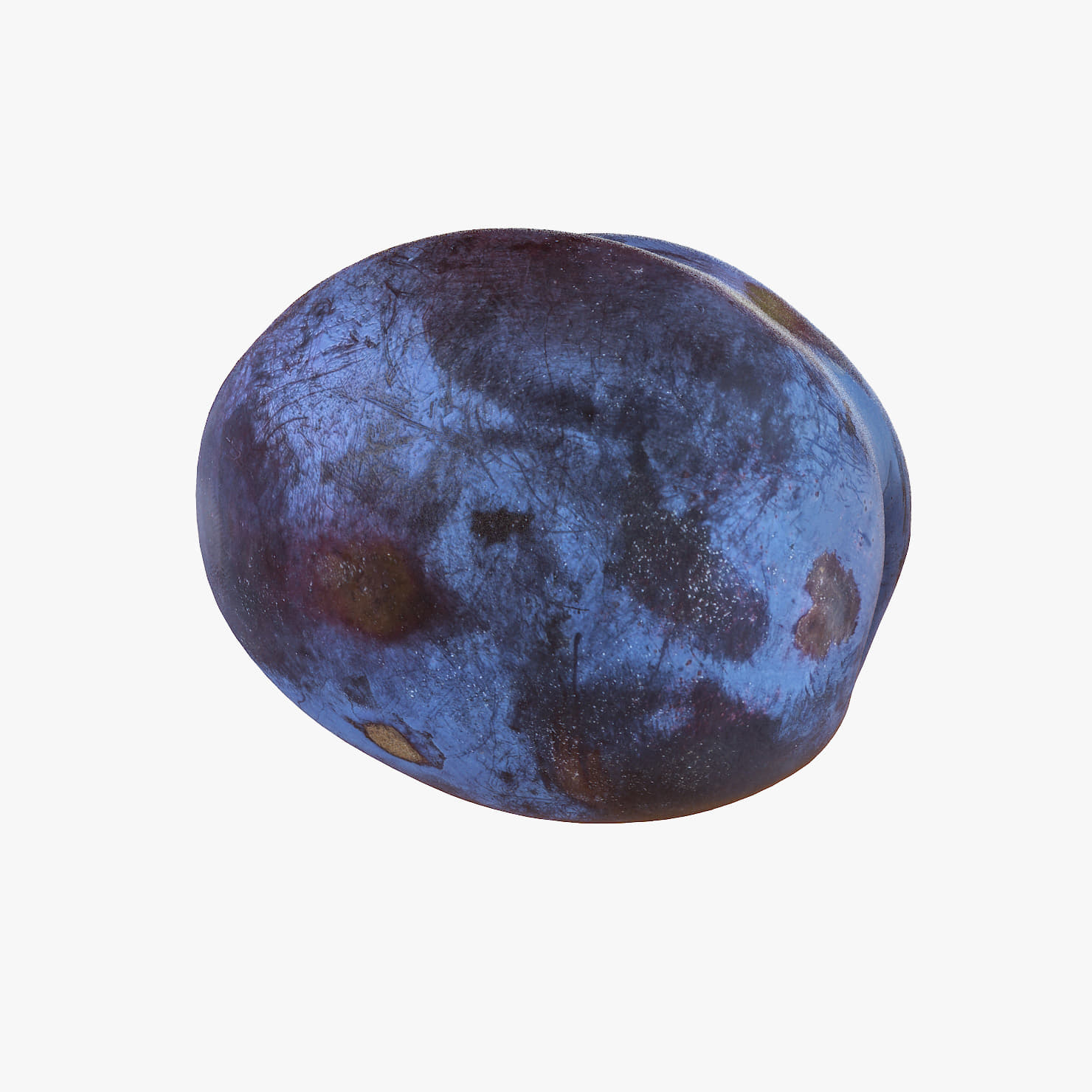 Plum Realistic 02 3D Model