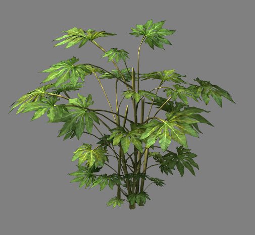 Wild plants – flowers 06 3D Model