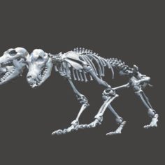 Unknown Creatures – Cerberus Skeleton 3D Print Model
