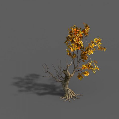 Forest – Trees 15 3D Model