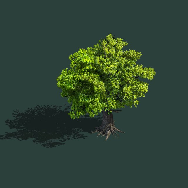 Plant – Green Tree 8 3D Model