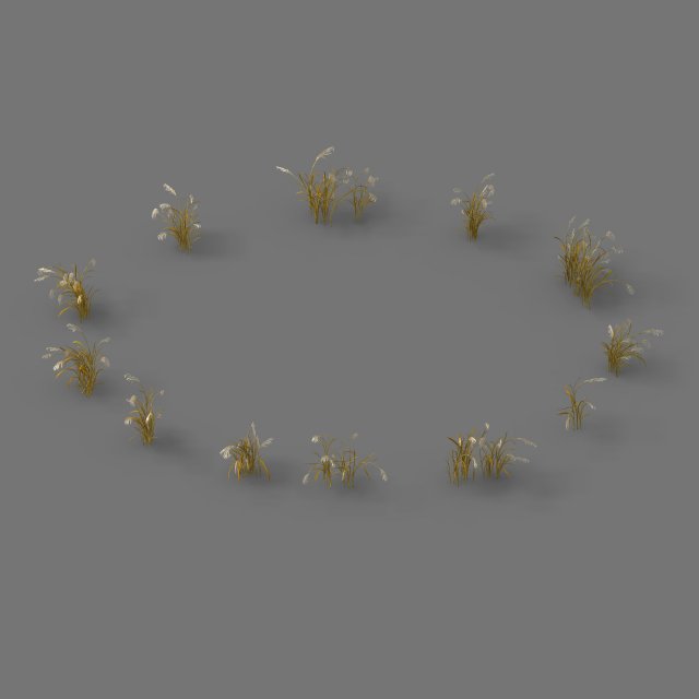 Plant – Reed 01 3D Model