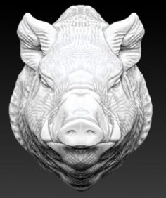 Wild boar pig 3D Model