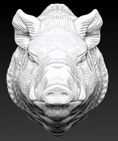 Wild boar pig 3D Model