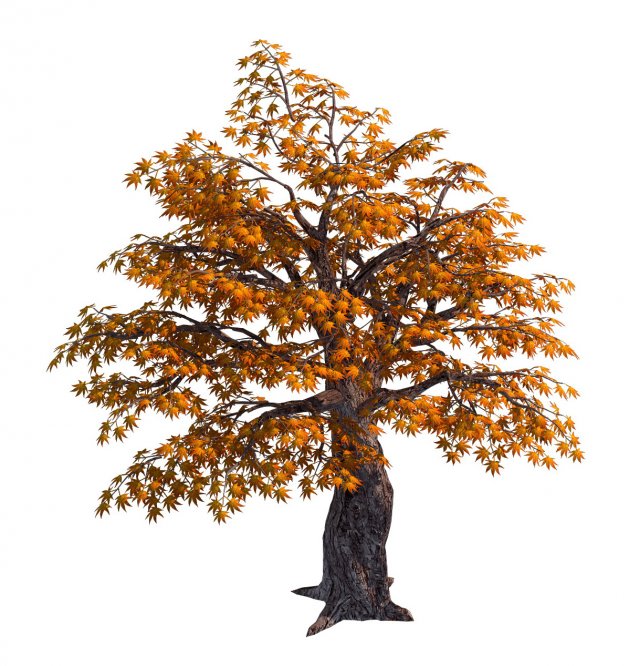 Qixiashan – tree 3D Model