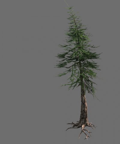 Game Model – Alpine – Pines 02 3D Model