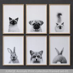 Animals Print collection framed set-01 3D Model