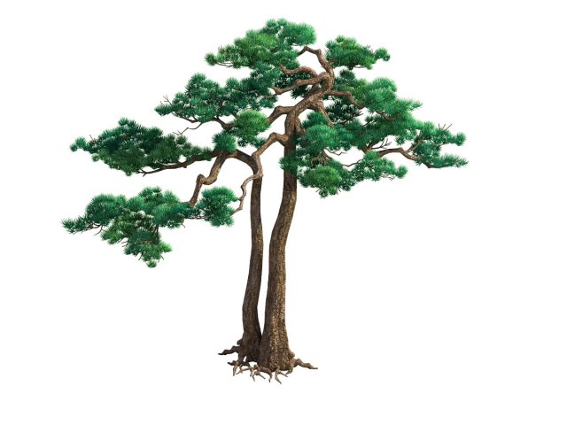 Game Model – Taoist comprehension scene – Pine 03 3D Model