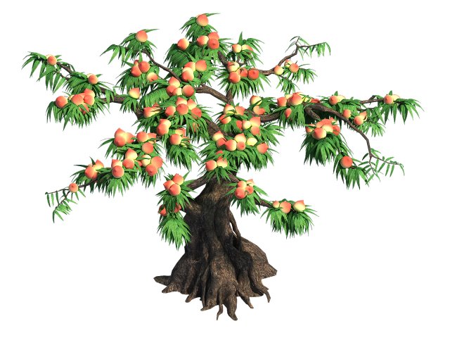 Plant – peach tree 032 3D Model