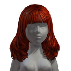 beauty hair 22 3D Model