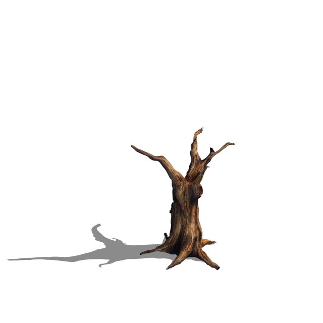 Desert – dead tree 13 3D Model