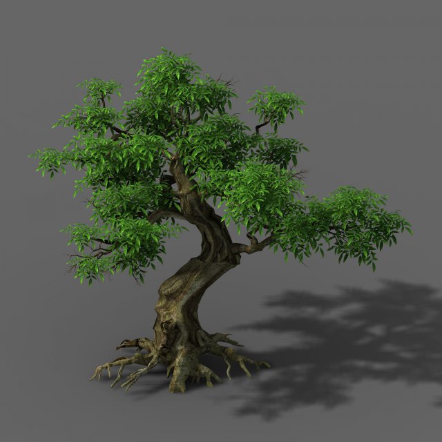 Plant – Green Tree 5 3D Model