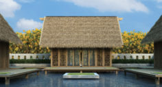 element of straw roof 3D Model