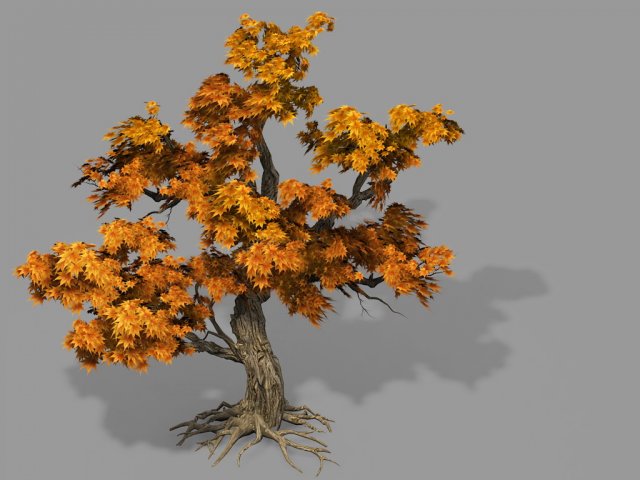 Game Model – Forest – Maple Tree 8 3D Model