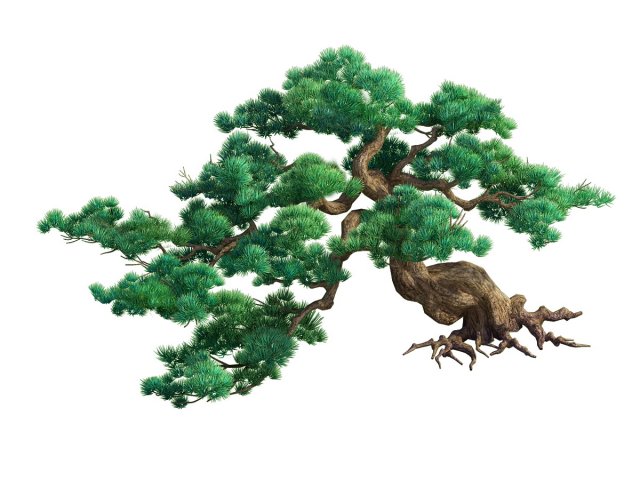 Game Model – Taoist comprehension scene – Pine 02 3D Model