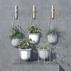 Plant set 3D Model