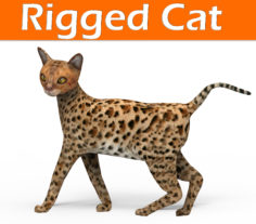 3D cat rigged 3D Model