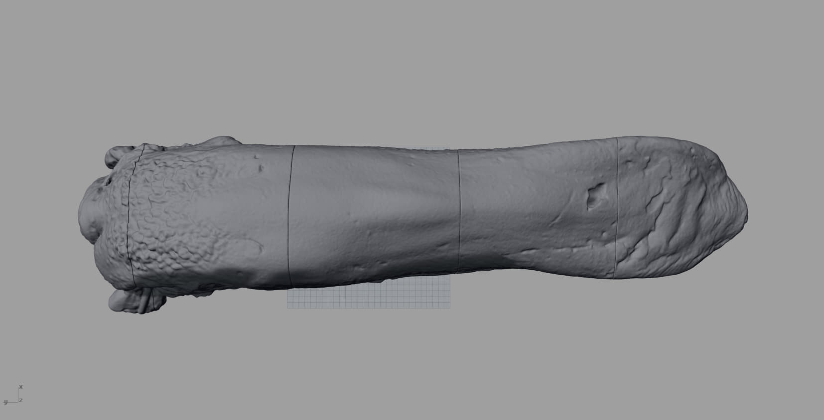Cow tongue 3D Model