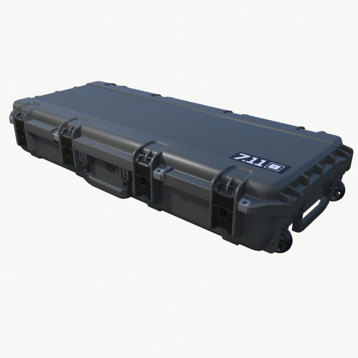 3D model Case 3D Model