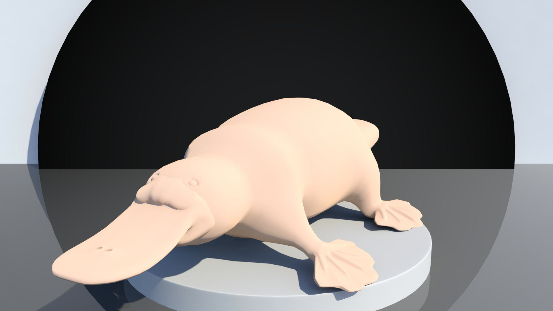 3D Platypus Base Model 3D Model