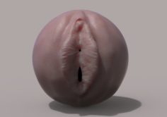 Vagina ball 3D Model