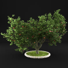 3D model Apple Tree 10 3D Model