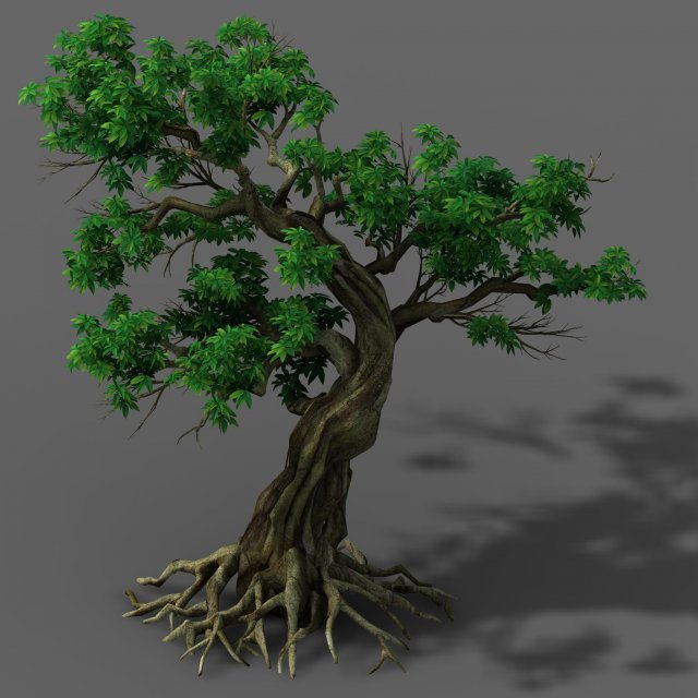 Plant – green leaf tree 01 3D Model