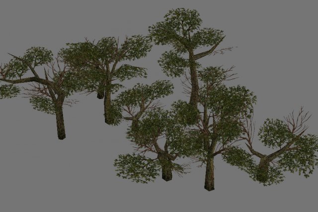 Game Model Arena – Variation grass flowers trees 0 3D Model