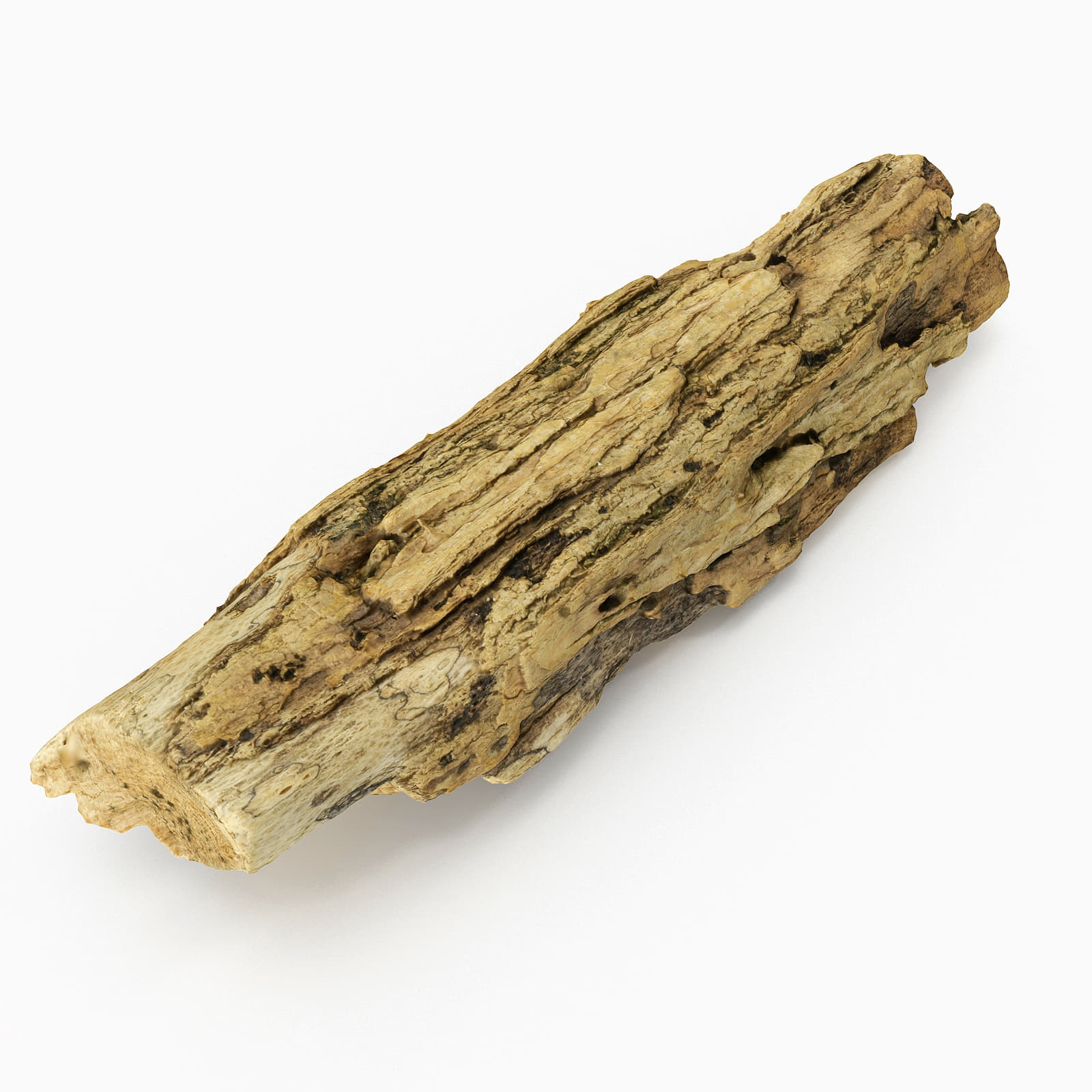Driftwood 07 3D Model
