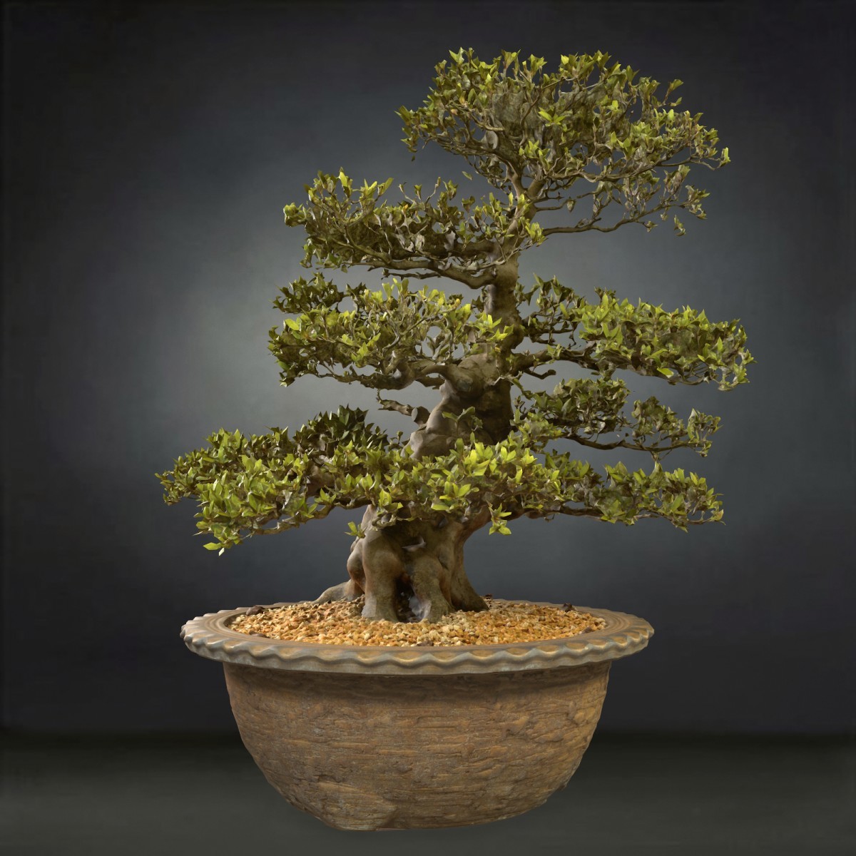 Satsuki Kozan 2 3D Model